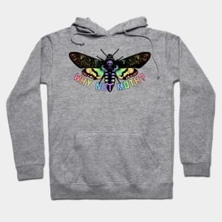 Why Not Moth? Rainbow Hoodie